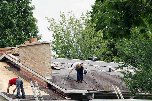 Best Roof Gutter Cleaning  in Oswego, IL